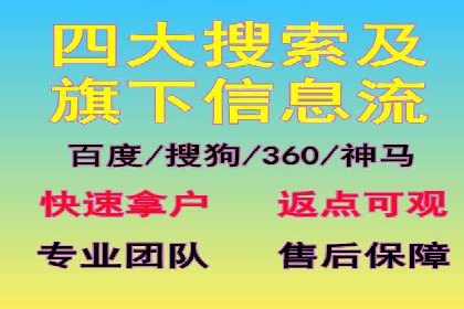 SEM优化策略：实战案例解析