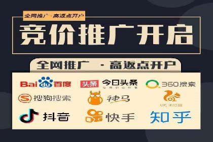 百度广告投放策略与效果评估案例